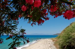 sandomenicoresort_spiaggia_5.jpg